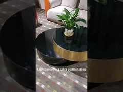 Mesa de centro de cristal endurecida de gama alta moderna de la sala de estar del hotel del acero inoxidable